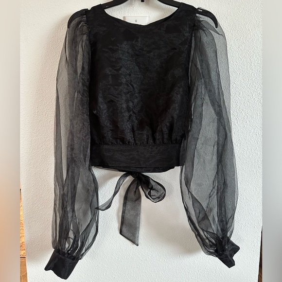 Lovers + Friends Tops - Lovers & Friends Organza Top